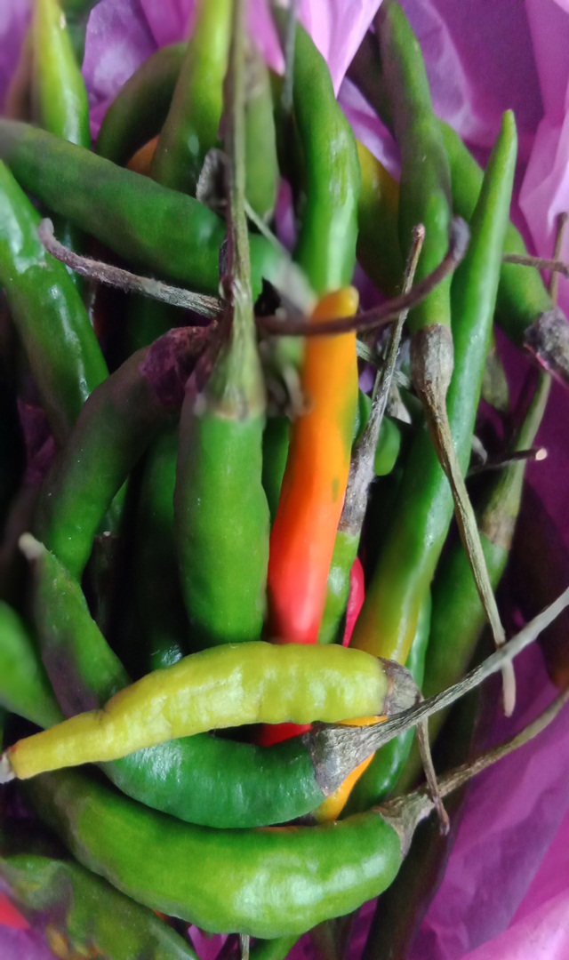 ಹೃದಯ ಸಂಬಂಧಿ ಸಮಸ್ಯೆಗಳು ಹಸಿಮೆಣಸಿನಕಾಯಿಯಿಂದ ದೂರ