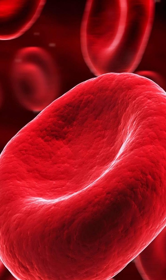 ನ್ಯಾಚುರಲ್ ಆಗಿ ಹಿಮೋಗ್ಲೋಬಿನ್ ಹೆಚ್ಚಿಸುವ ಆಹಾರಗಳು