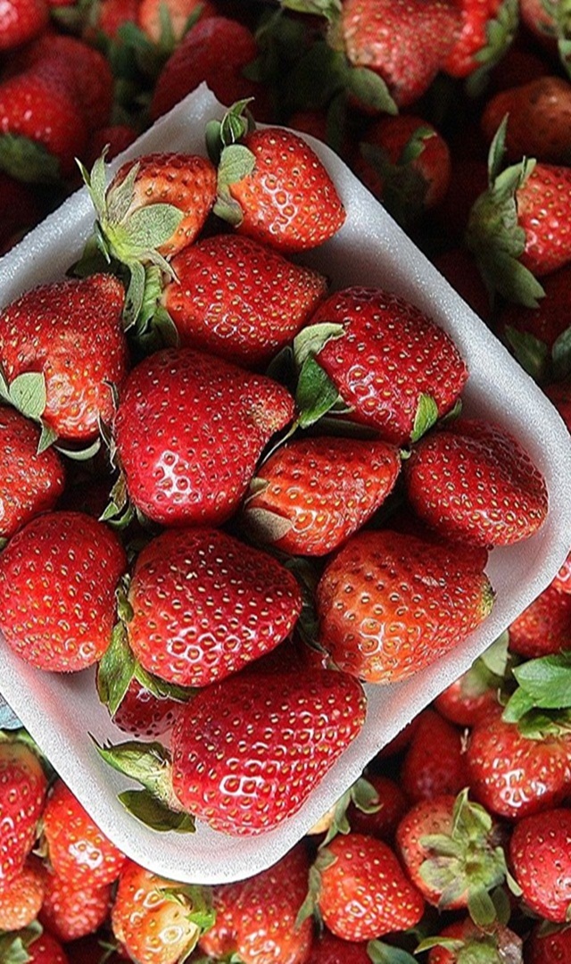 ಸ್ಟ್ರಾಬೆರಿ ಸೇವಿಸಿದರೆ ಈ ಖಾಯಿಲೆಗಳು ಬರಲ್ಲ