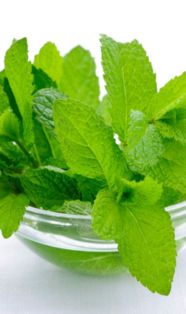 ಪುದೀನಾ ಪ್ರತಿನಿತ್ಯ ಸೇವಿಸಲು 6 ಕಾರಣಗಳು