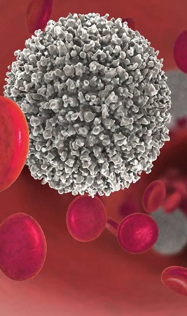 ಬಿಳಿ ರಕ್ತಕಣ ಹೆಚ್ಚಾಗಬೇಕಾದರೆ ಹೀಗೆ ಮಾಡಿ