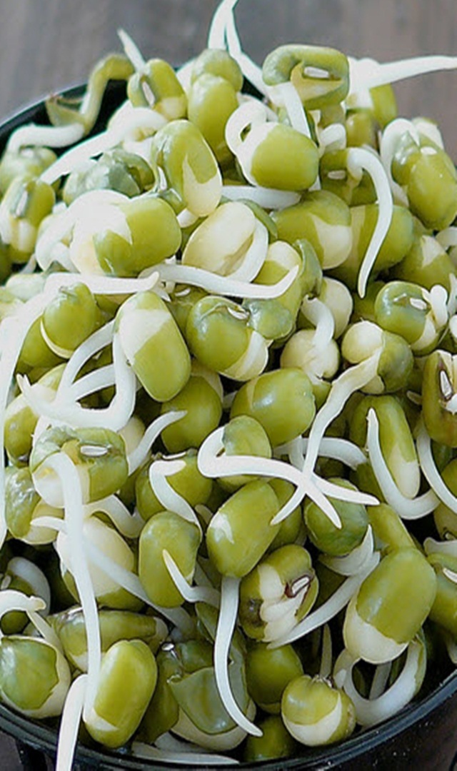 ಮೊಳಕೆ ಕಾಳು ಸೇವನೆಯ ಅದ್ಭುತ ಲಾಭಗಳು