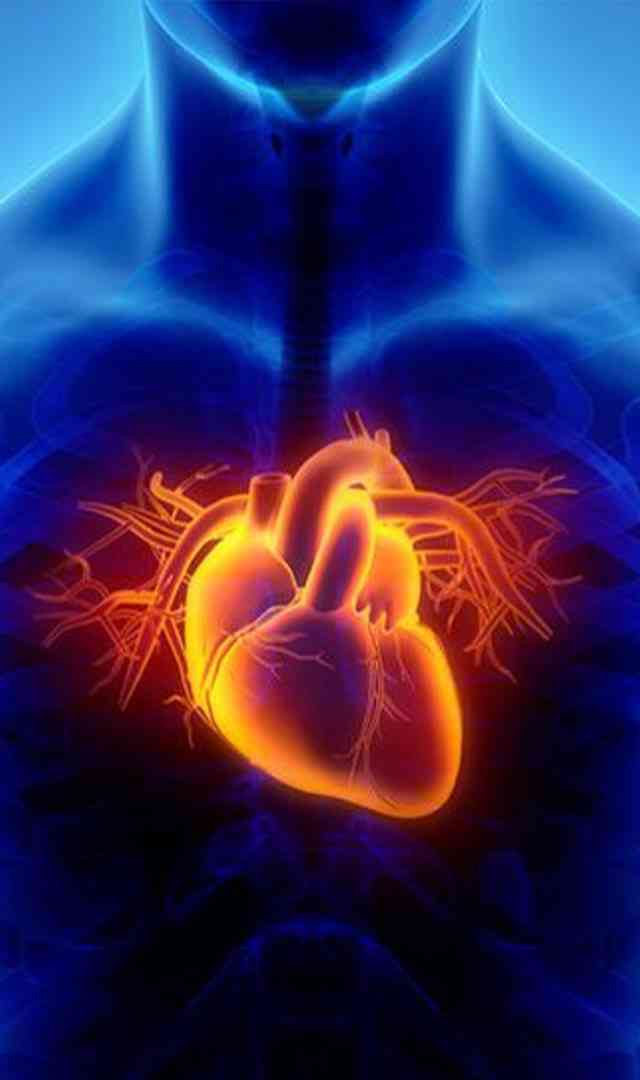 ಚಿಕ್ಕ ವಯಸ್ಸಿಗೇ ಹೃದಯಾಘಾತವಾಗದಂತೆ ತಡೆಯಲು ಉಪಾಯ