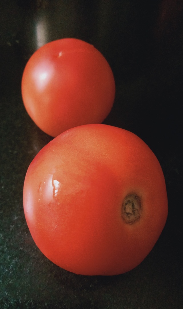 ಬೇಸಿಗೆಯಲ್ಲಿ ಟೊಮೆಟೊ ಯಾಕೆ ಹೆಚ್ಚು ತಿನ್ನಬೇಕು