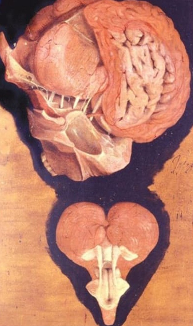 ಫಿಶರ್ ಆದಾಗ ಏನು ಮಾಡಬಹುದು