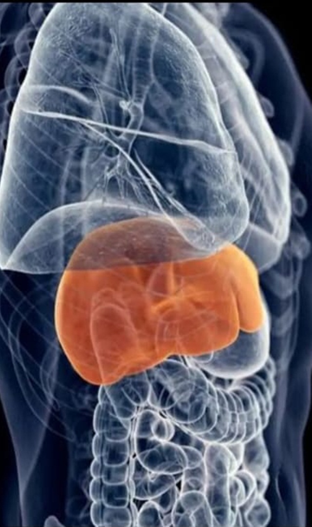 ಲಿವರ್ ಸಮಸ್ಯೆಯ ಹಂತಗಳು ಹೀಗಿರುತ್ತವೆ