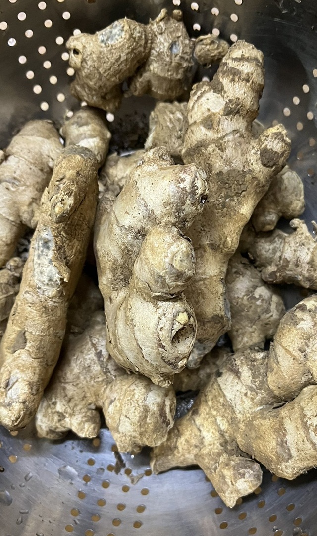 ಶುಂಠಿ ತಿನ್ನುವುದರಿಂದ ಈ ರೋಗಗಳು ಬರಲ್ಲ