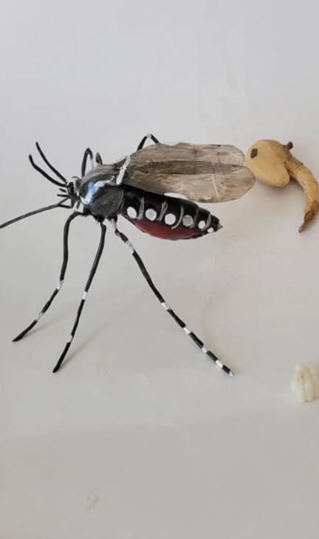 ವೆಸ್ಟ್ ನೈಲ್ ಜ್ವರದ ಲಕ್ಷಣಗಳು, ಕೈಗೊಳ್ಳಬೇಕಾದ ಮುನ್ನೆಚ್ಚರಿಕೆಗಳು