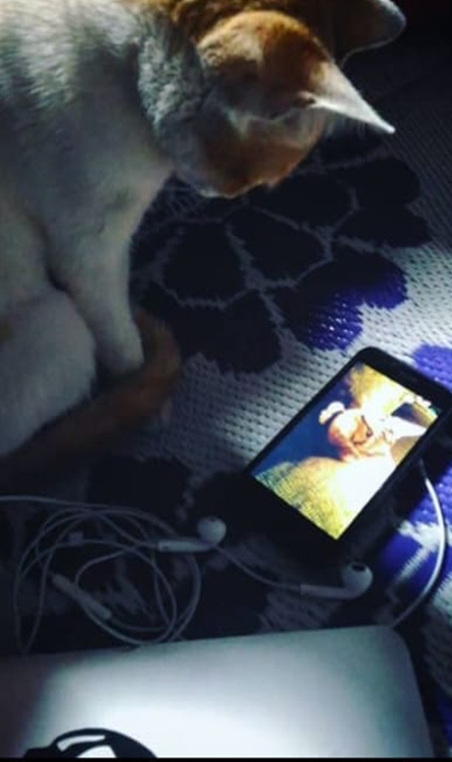 ಕತ್ತಲಲ್ಲಿ ಮೊಬೈಲ್ ನೋಡುವುದರಿಂದ ಈ ಅಪಾಯಗಳಿವೆ