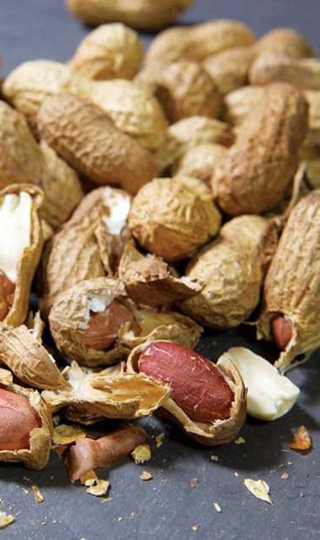 ನೆಲಗಡಲೆ ಹೆಚ್ಚು ತಿಂದರೆ ಹೀಗೆಲ್ಲಾ ಆಗುತ್ತೆ