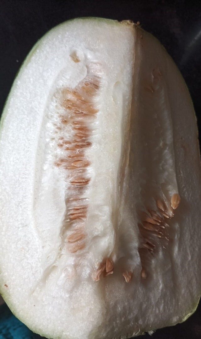 ಬೂದುಗುಂಬಳ ರಸ ಸೇವಿಸಿದರೆ ಏನಾಗುತ್ತದೆ