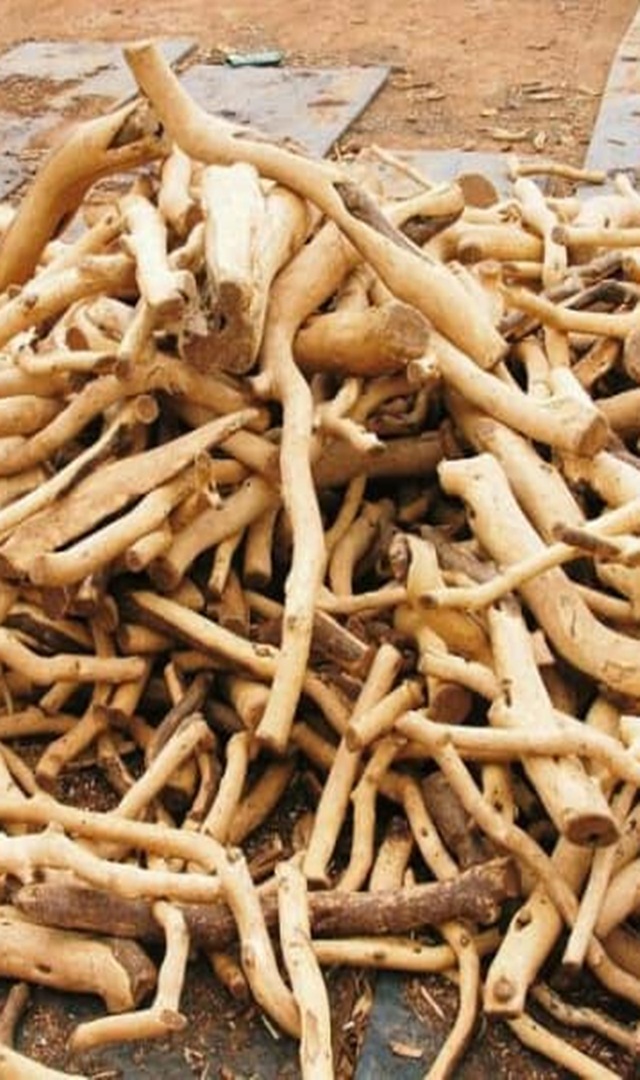 ಕಹಿಯಾದರೂ ಮಕ್ಕಳಿಗೆ ಶ್ರೀಗಂಧ ನೀಡಲೇಬೇಕು ಯಾಕೆ