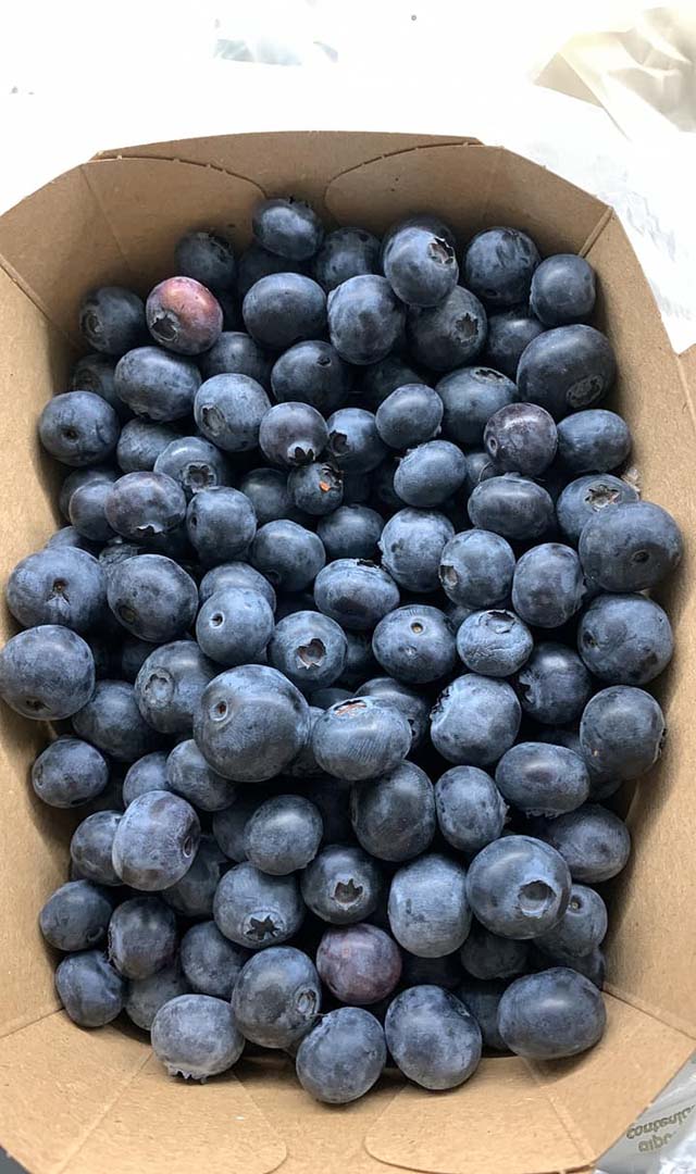 ಈ ಕಾರಣಕ್ಕೆ ಬ್ಲೂ ಬೆರಿಗಳನ್ನು ಸೇವಿಸಲೇಬೇಕು