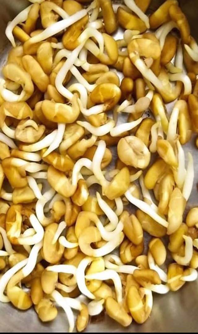 ಮೊಳಕೆ ಕಟ್ಟಿದ ಮೆಂತ್ಯ ಕಾಳಿನಿಂದ ಇಷ್ಟೆಲ್ಲಾ ಉಪಯೋಗವಿದೆಯೇ