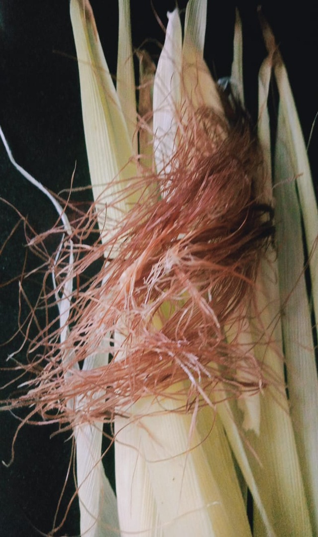 ಕಾರ್ನ್ ಸಿಲ್ಕ್ ಉಪಯೋಗವೇನು ಬಲ್ಲಿರಾ