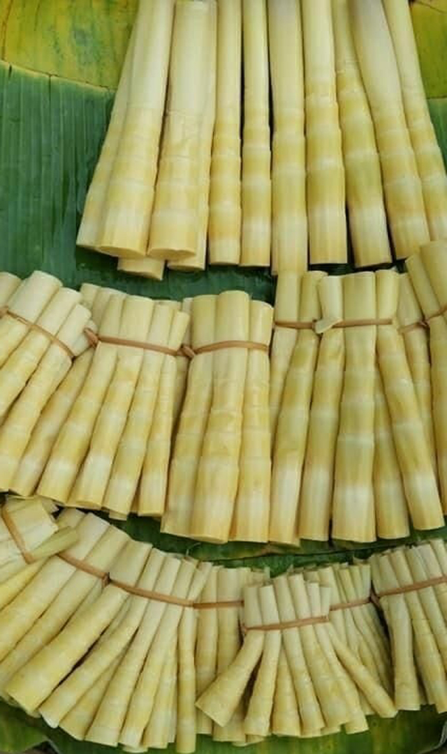 ಕಣಿಲೆಯಲ್ಲಿ ಎಷ್ಟೊಂದು ಆರೋಗ್ಯಕರ ಅಂಶವಿದೆ ಗೊತ್ತಾ