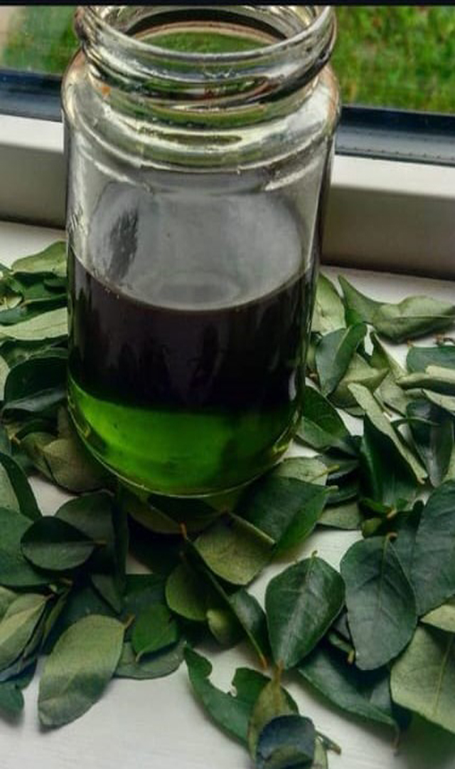 ಸುಲಭವಾಗಿ ಕರಿಬೇವಿನ ಎಣ್ಣೆ ಮಾಡುವುದು ಹೇಗೆ