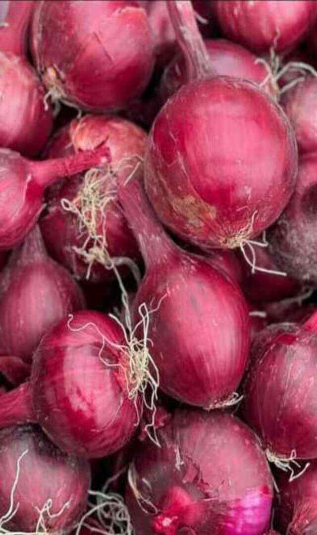 ಈರುಳ್ಳಿ ಕೊಳೆಯದಂತೆ ಇಡಲು ಏನು ಮಾಡಬೇಕು