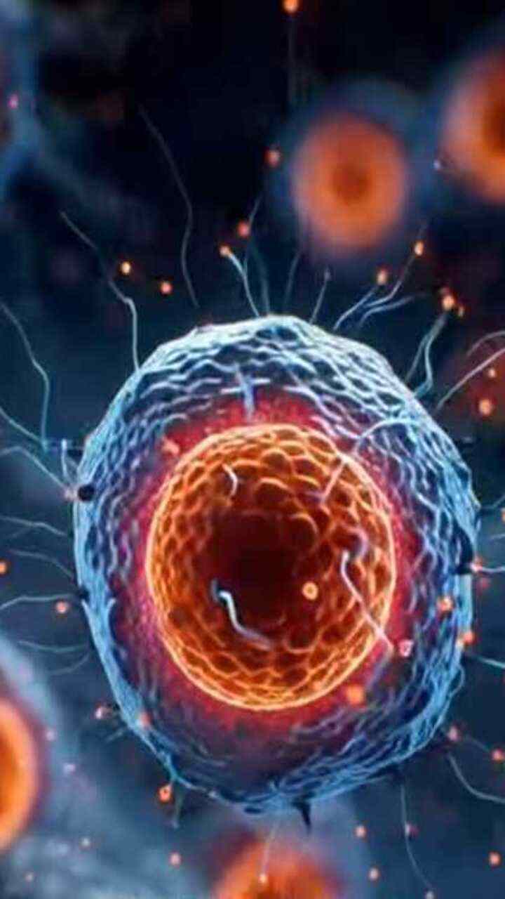 ದೇಹದಲ್ಲಿ ಬಿಳಿ ರಕ್ತ ಕಣದ ಉಪಯೋಗವೇನು