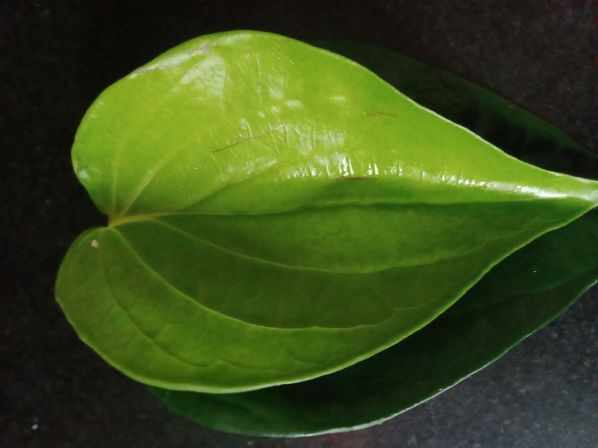 ವೀಳ್ಯದ ಎಲೆಯಿಂದ ಮಕ್ಕಳ ಶೀತ ಪರಿಹಾರ