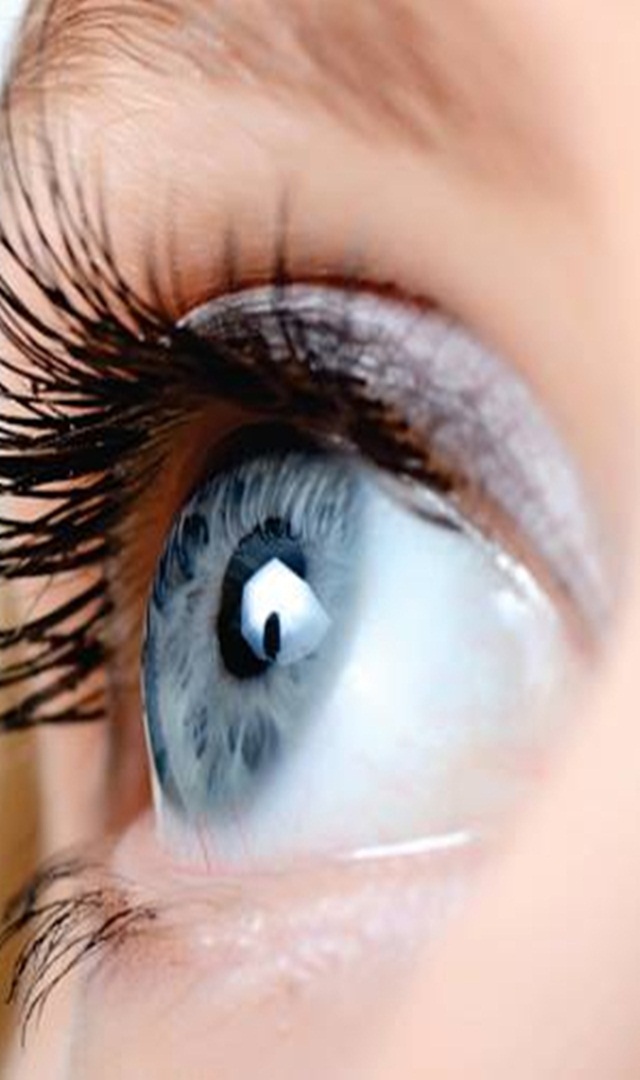 ಅಂಗಾಂಗ ದಾನ ಮಾಡಿದ ಮಹಾನ್ ಕಲಾವಿದರು