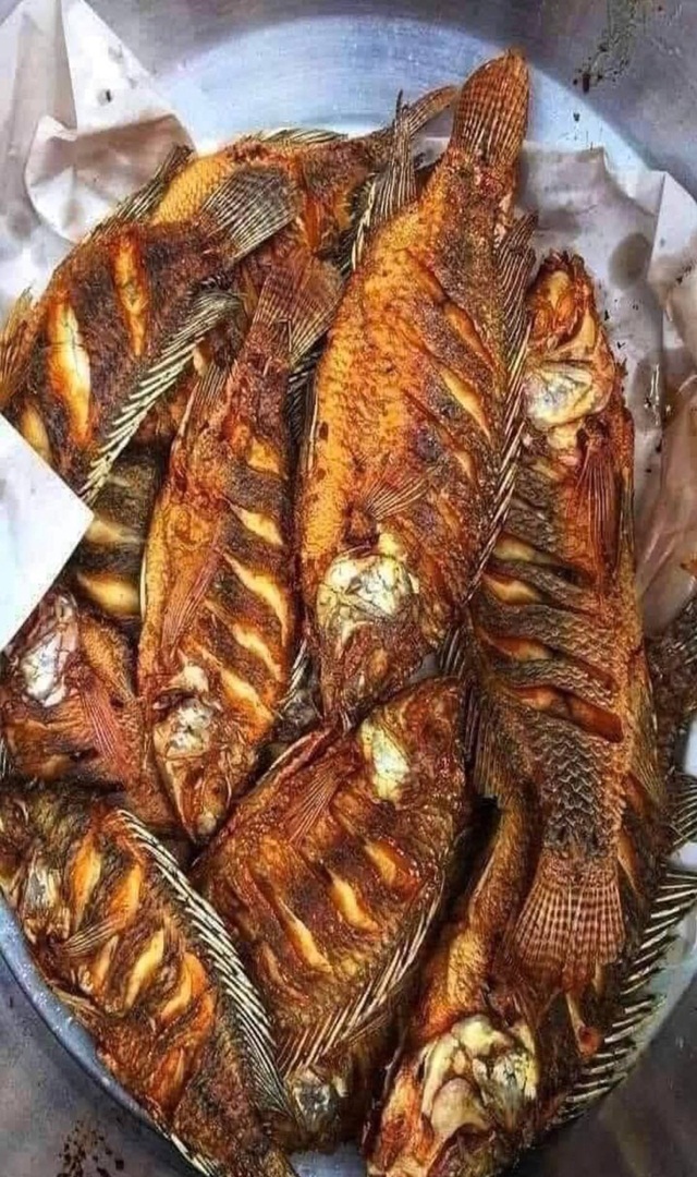 ಗರ್ಭಿಣಿಯರು ಈ ಆಹಾರ ಸೇವಿಸಲೇಬಾರದು!