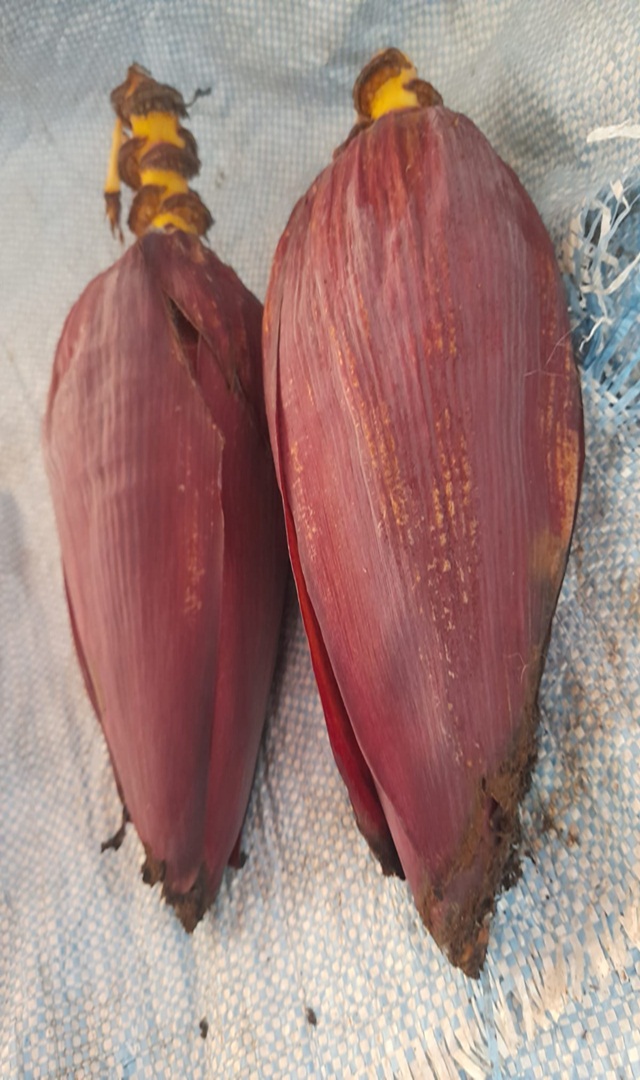 ಬಾಳೆ ಹೂವಿನ ಅದ್ಭುತ ಉಪಯೋಗಗಳು