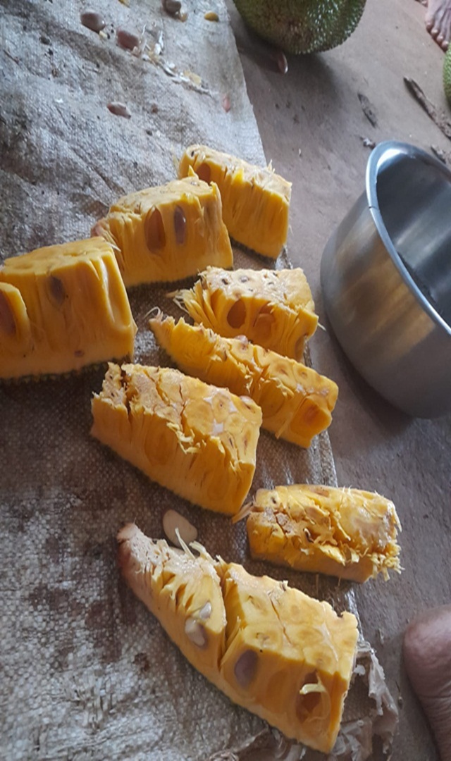 ಹಲಸಿನ ಹಣ್ಣು ಹಸಿವು ನಿವಾರಿಸುತ್ತಾ?