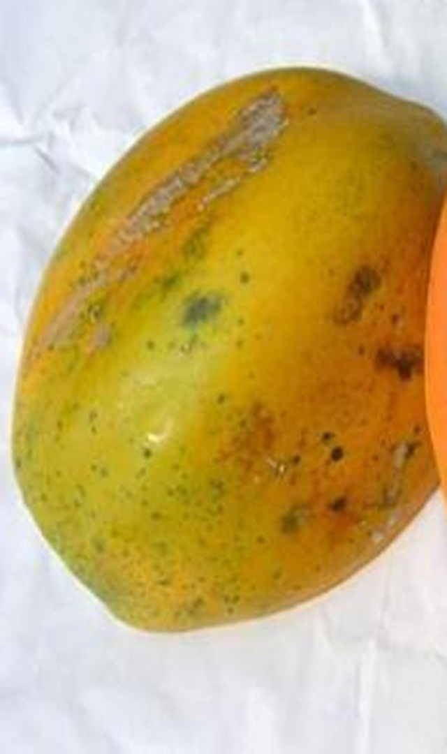 ಪಪ್ಪಾಯ ಹಣ್ಣಿನ ಅಡ್ಡಪರಿಣಾಮಗಳೇನು?