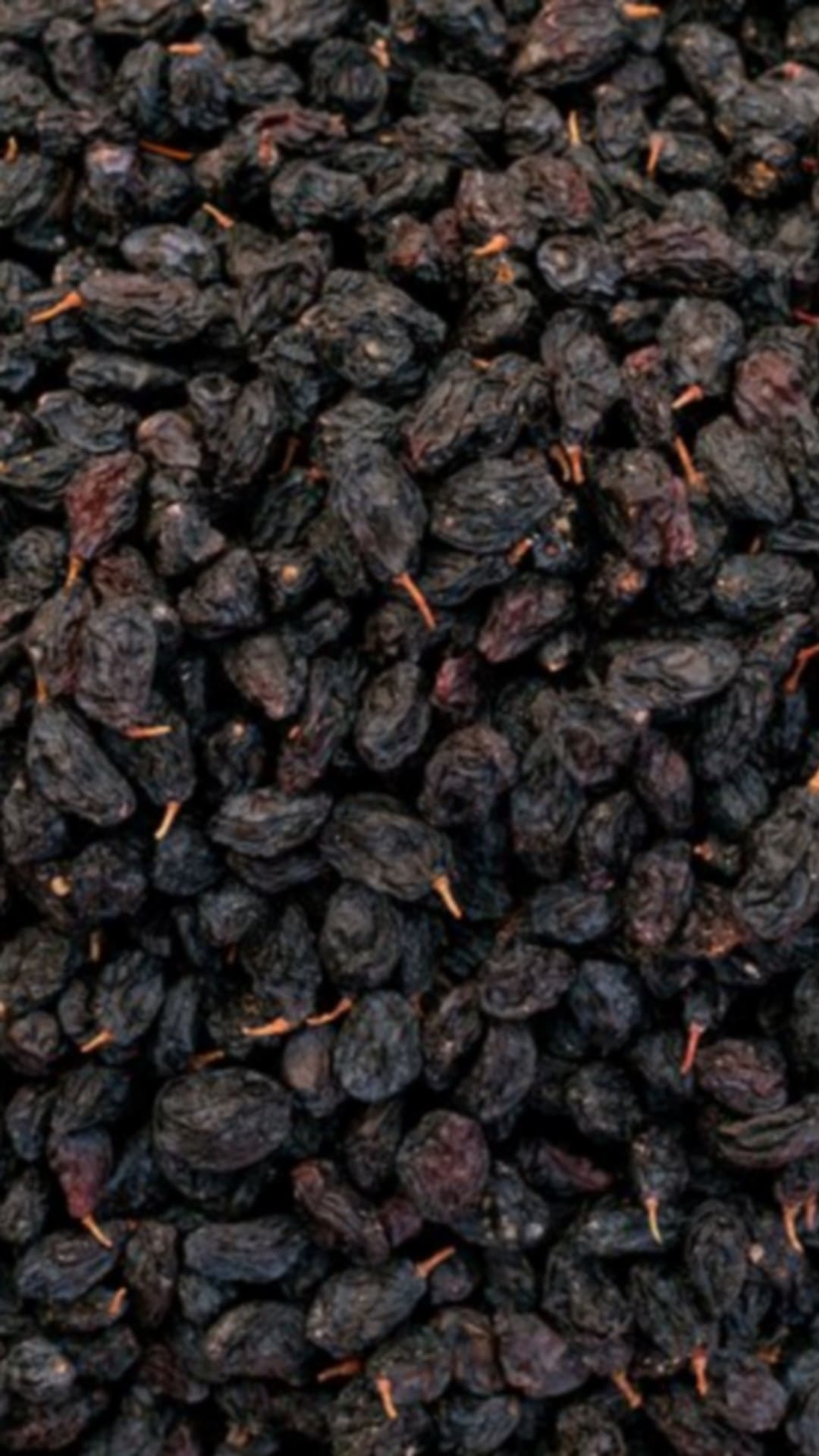 എപ്പോഴും ചെറുപ്പമായി നടക്കണോ? ദിവസവും ഉണക്കമുന്തിരി കുതിര്‍ത്ത് കഴിക്കാം