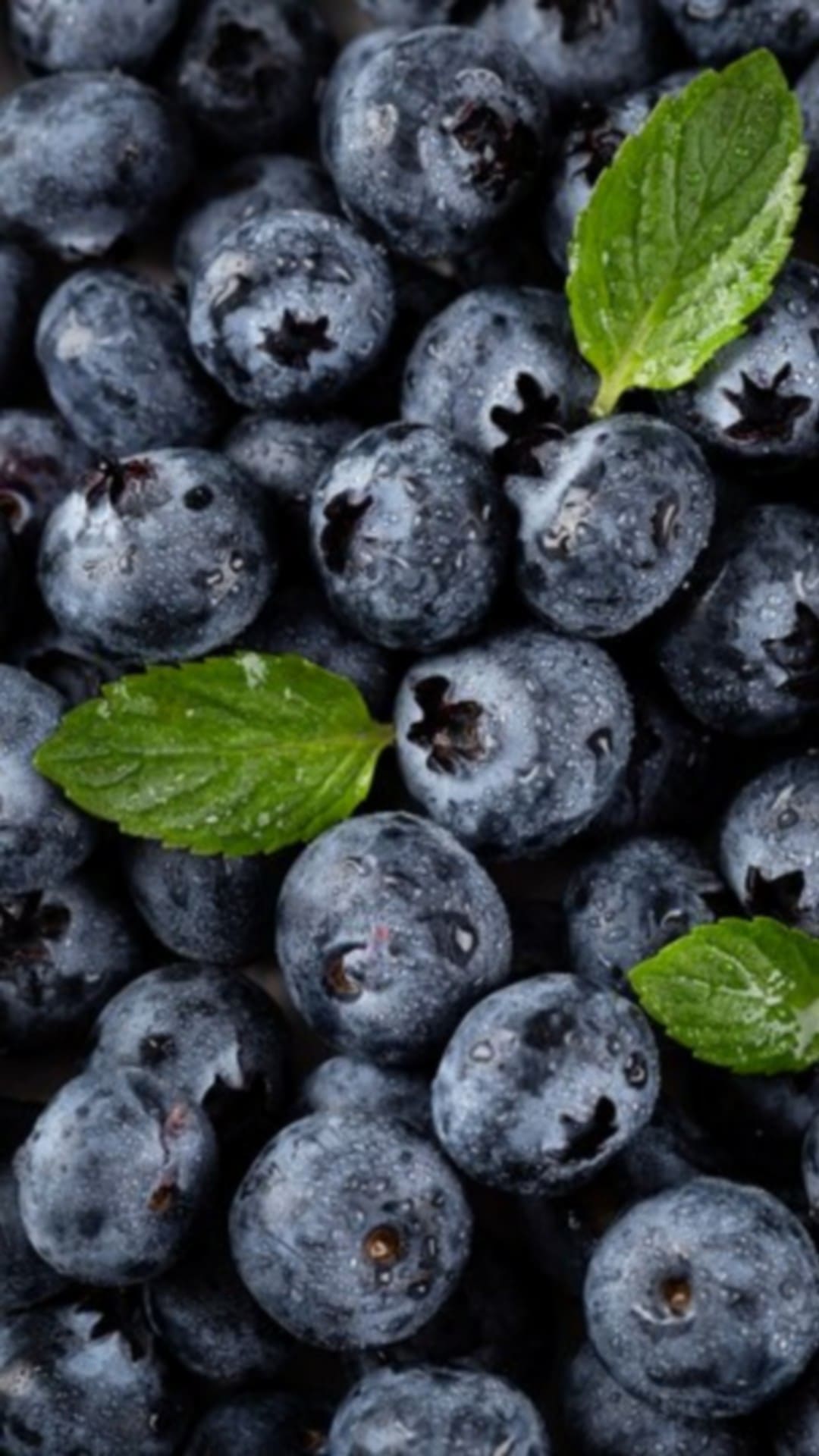 ബ്ലൂബെറി കഴിക്കുന്നത് കൊണ്ടുള്ള ഗുണങ്ങള്‍ അറിയാമോ?