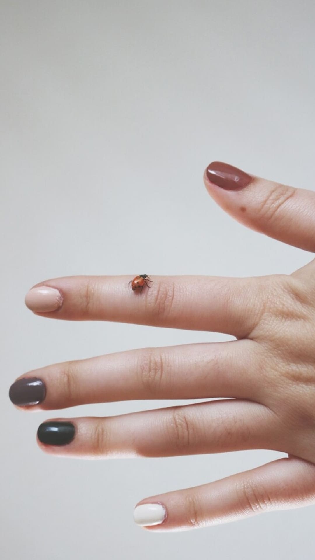 നഖത്തിലെ വെള്ള പാടുകൾ എന്തിന്റെ സൂചനയാണ്?