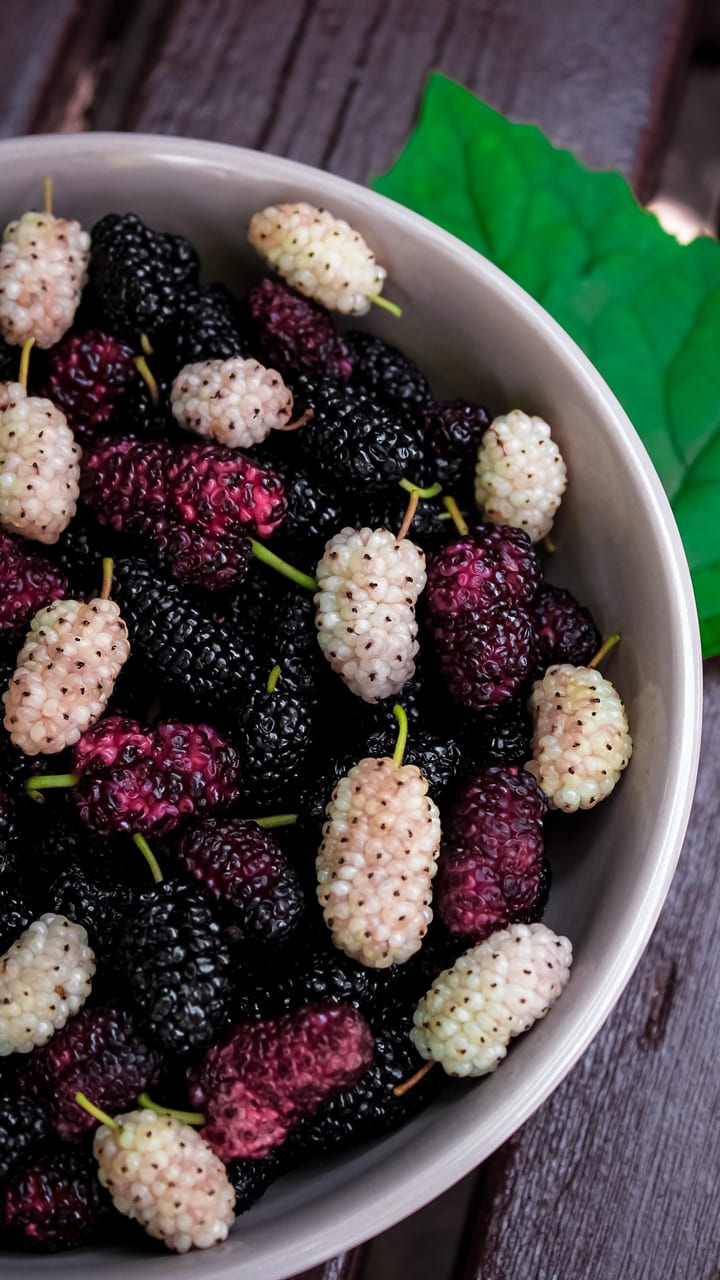 മൾബറി കഴിച്ചാൽ ഉണ്ടാകുന്ന പാർശ്വഫലങ്ങൾ 