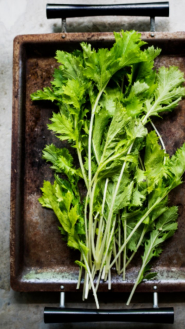 ഫ്രിഡ്ജ് വേണമെന്നില്ല, മല്ലിയില കേടാകാതെ സൂക്ഷിക്കാം