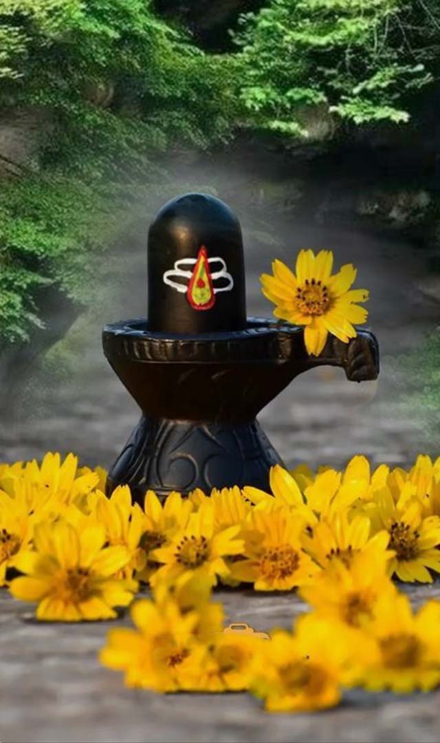 श्रावणांत 7 प्रकाराने शिवजींना प्रसन्न करा