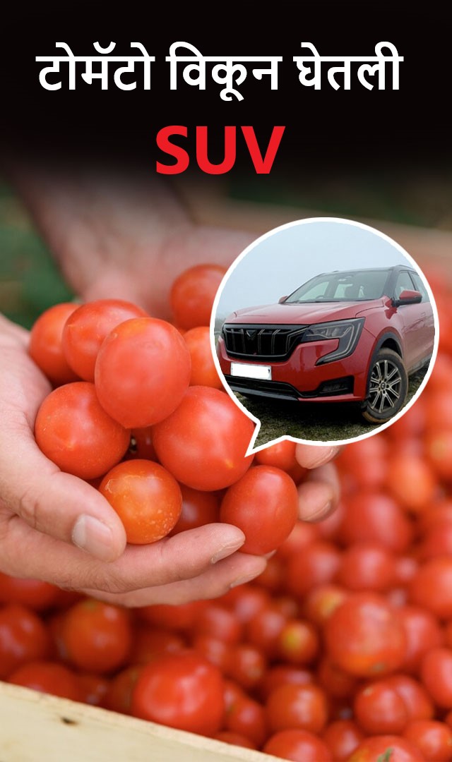  सरकारी नोकरी नसल्यामुळे मुलींनी नाकारले, आता टोमॅटो विकून  SUV घेतली