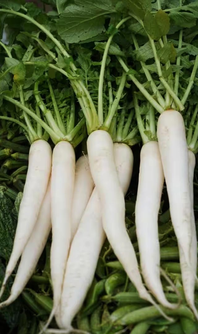 मुळासोबत या 5 गोष्टी खाऊ नका