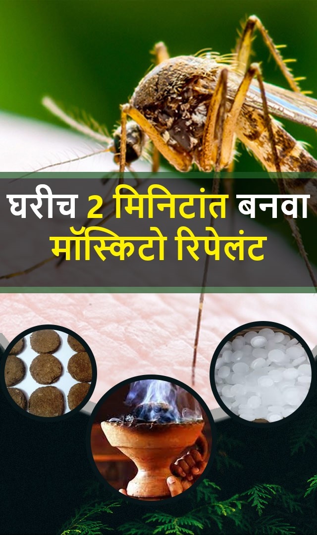 2 मिनिटांत घरीच बनवा मॉस्किटो रिपेलंट 