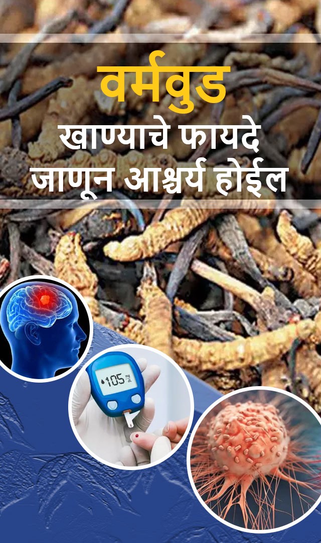 वर्मवुड खाण्याचे फायदे जाणून आश्चर्य होईल 