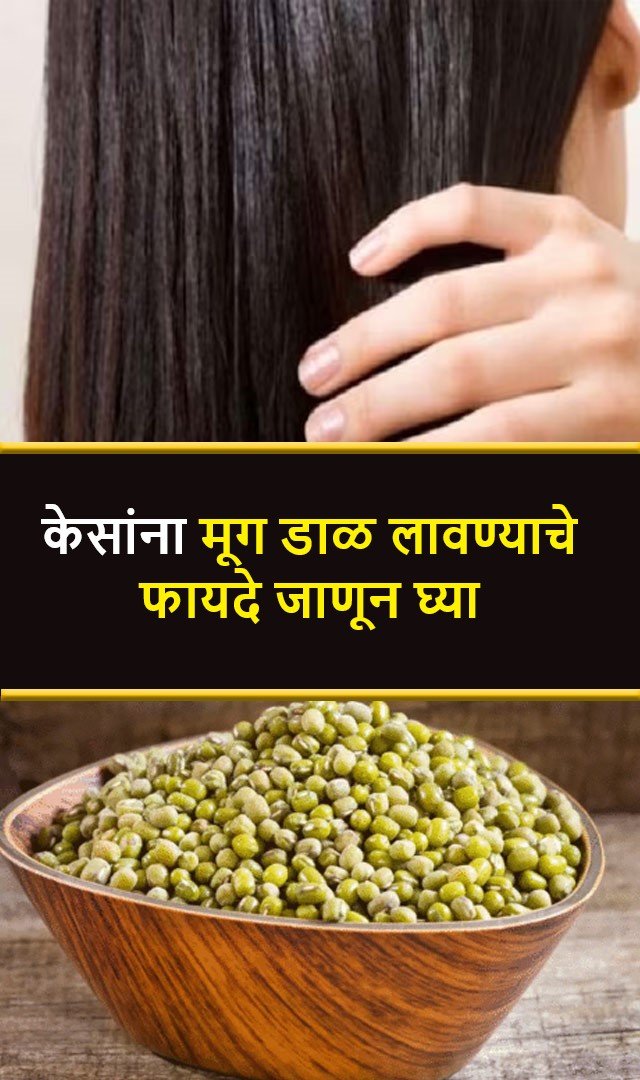 केसांना मूग डाळ लावण्याचे फायदे जाणून घ्या