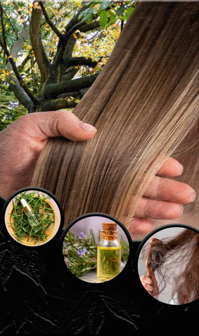 केसांच्या वाढीसाठी रोझमेरी तेल लावा