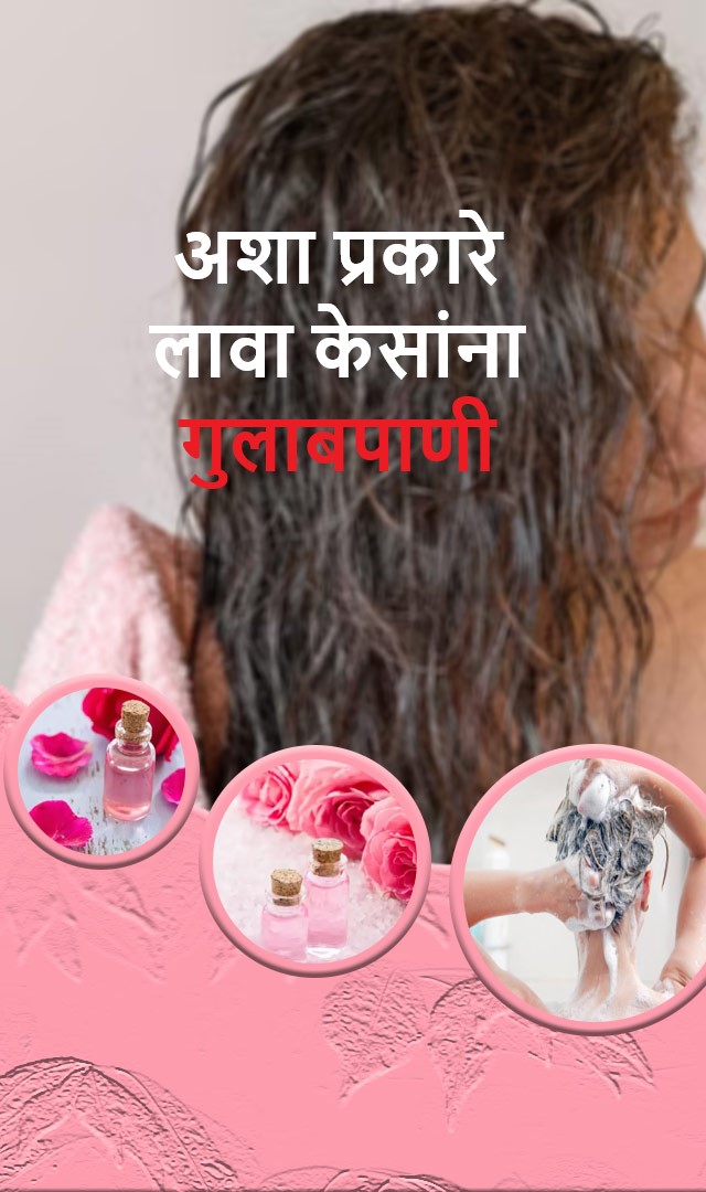 केसांना गुलाबपाणी अशा प्रकारे लावा