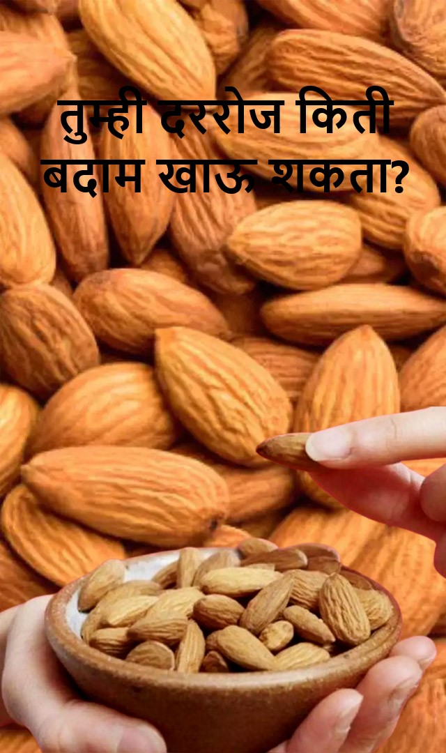 तुम्ही दररोज किती बदाम खाऊ शकता?