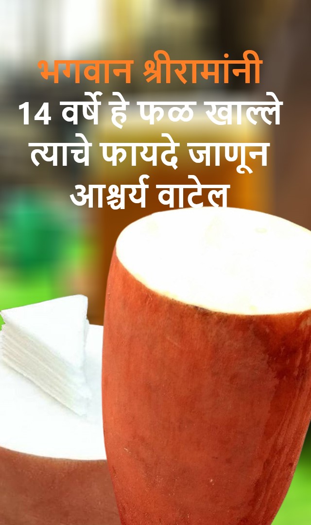 भगवान श्रीरामांनी 14 वर्षे हे फळ खाल्ले, त्याचे फायदे जाणून आश्चर्य वाटेल.