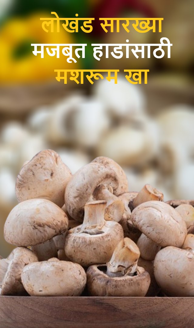 लोखंड सारख्या मजबूत हाडांसाठी मशरूम खा