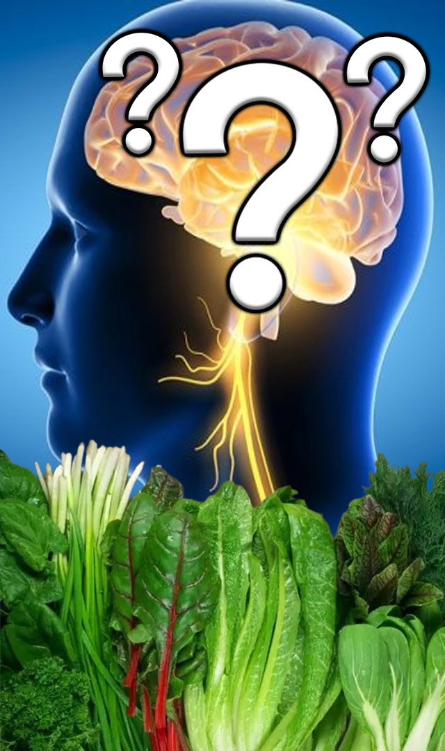 छोट्या गोष्टी विसरता का? या हिरव्या गोष्टीचे सेवन करा 