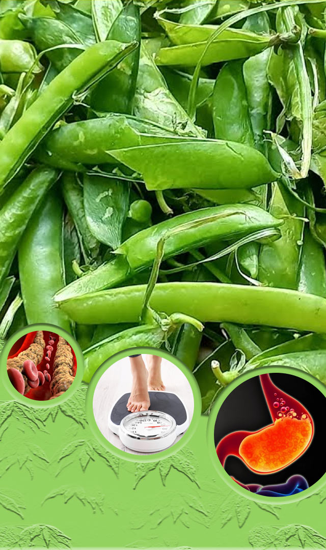  मटारची टरफले फेकून देऊ नका, आरोग्यासाठी फायदेशीर असतात 