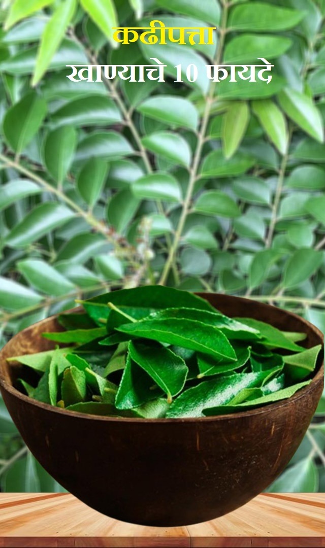 कढीपत्ता खाण्याचे 10 फायदे