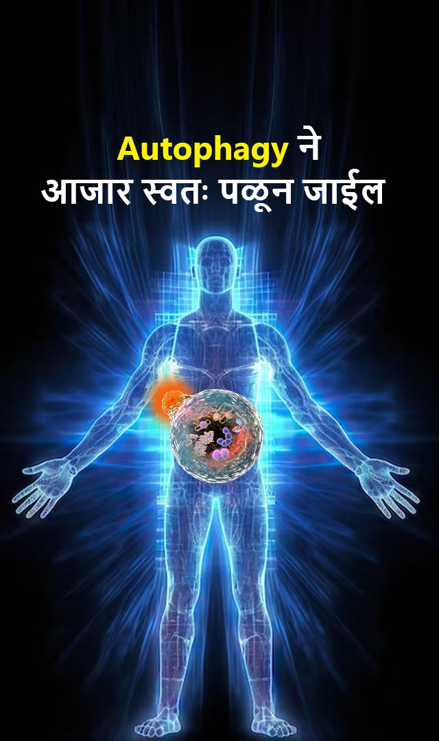 Autophagy ने आजार स्वतः पळून जाईल 