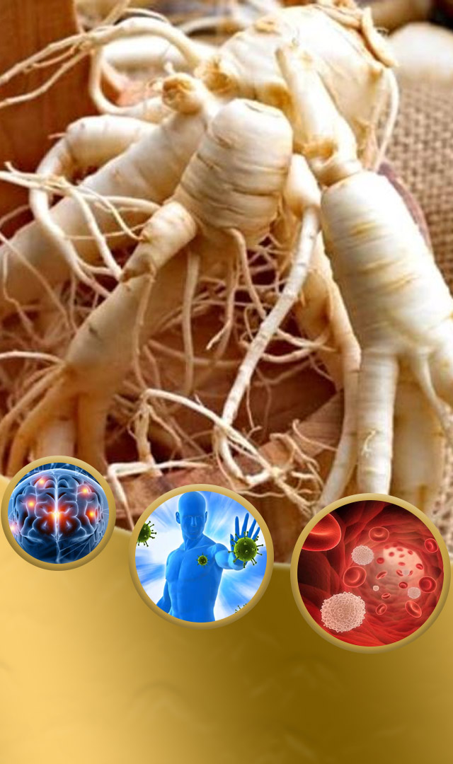 जिनसेंग खाण्याचे 11 चमत्कारिक फायदे